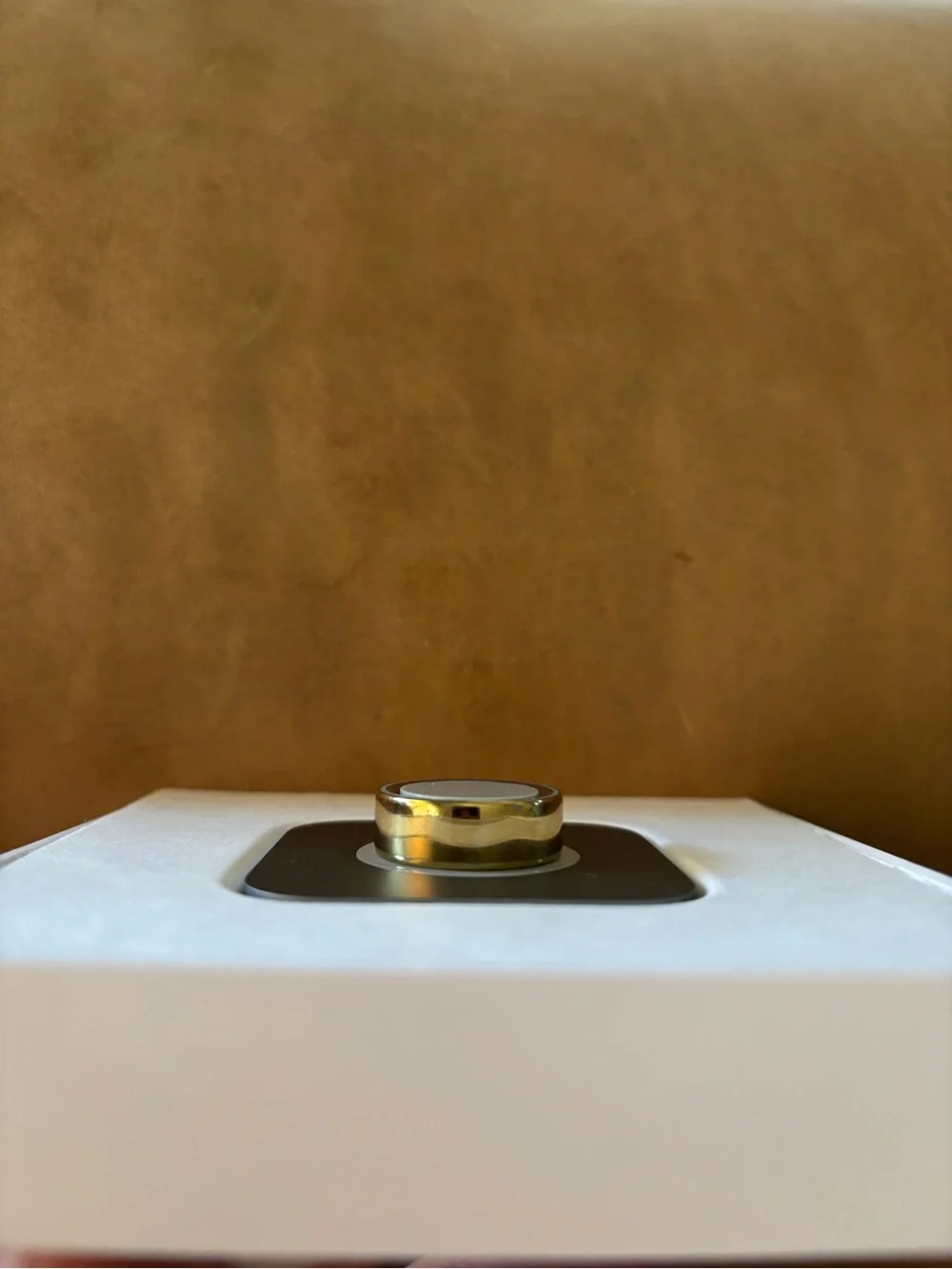 Oura Ring 4 Gold with Accessories